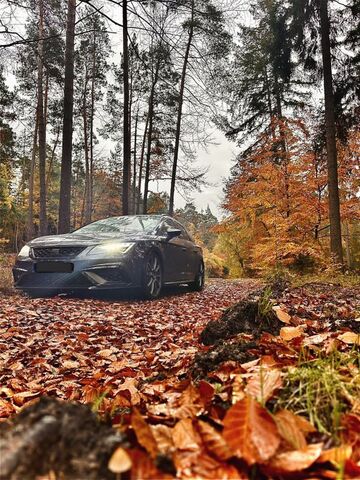 Gebrauchte Seat Leon