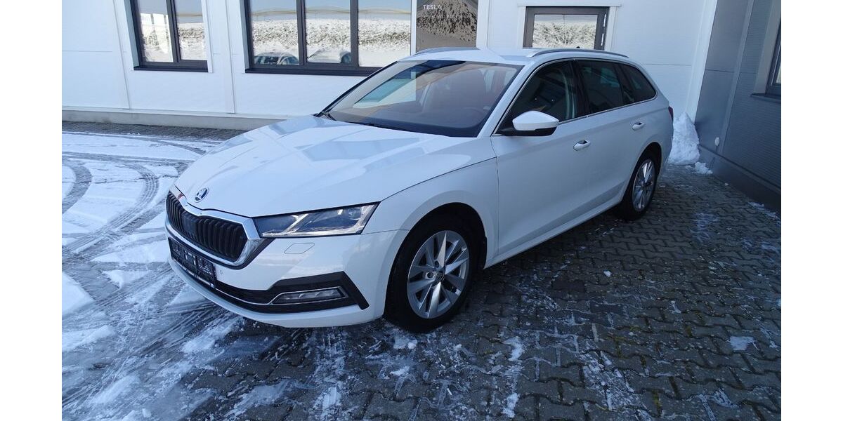 Skoda Octavia 161.747 km 17.690 &euro; Amöneburg-Roßdorf 35287